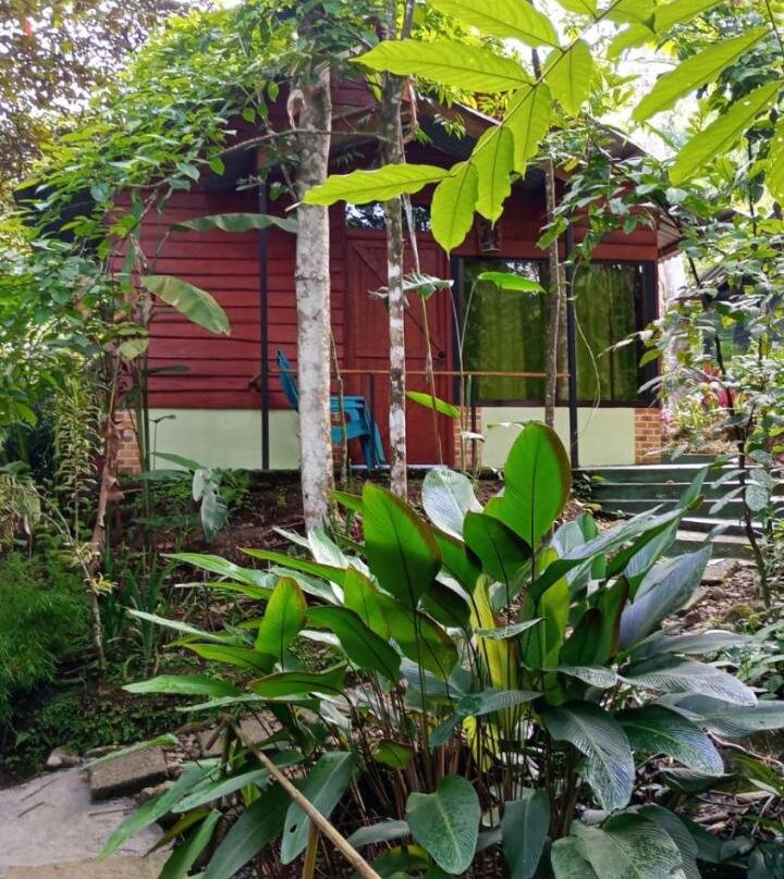 Guapote Lodge