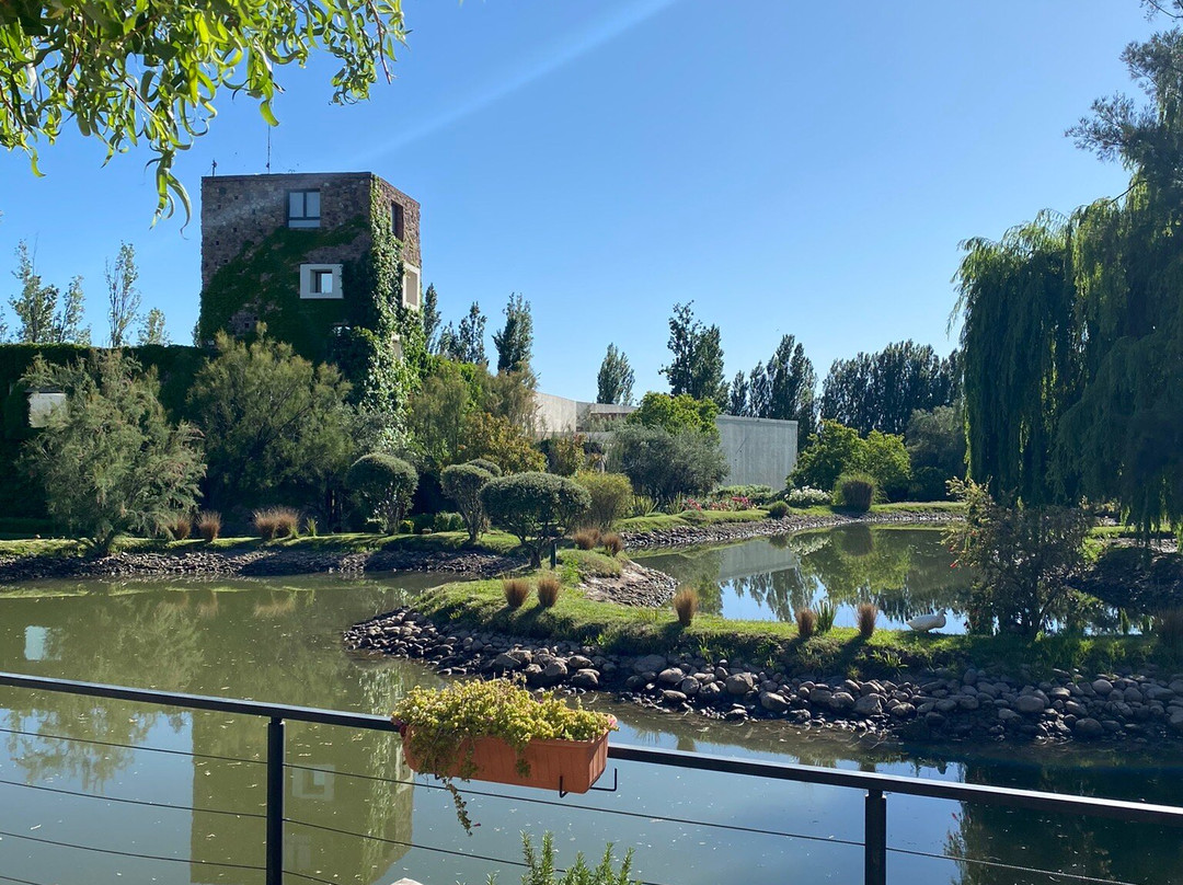 Passeios Vinícola Mendoza-门多萨必去景点