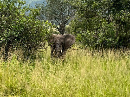 Responsible Travel Africa-吉佳利必去景点