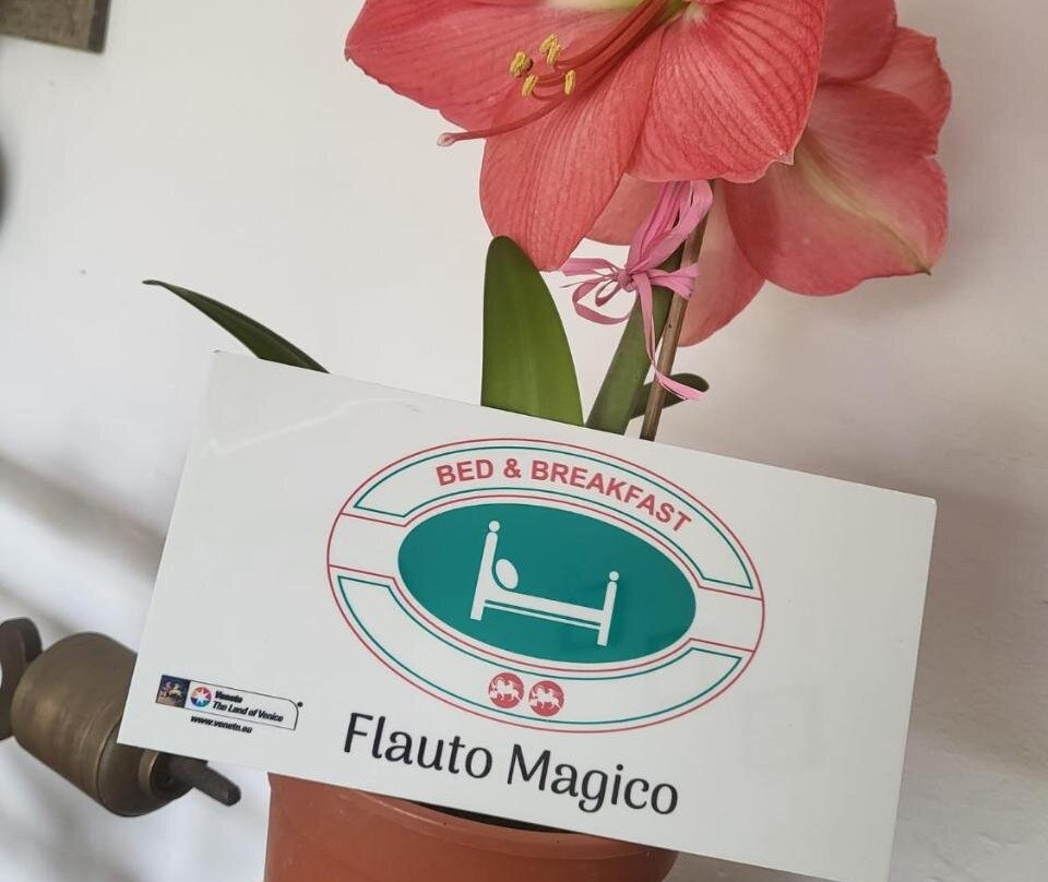 B&B Flauto Magico