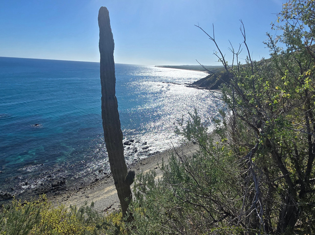Unity Offroad-La Ventana必去景点