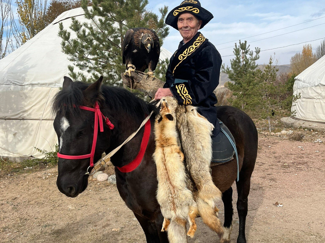 Eagle Hunting Show by Salavat-Bokonbayevo必去景点