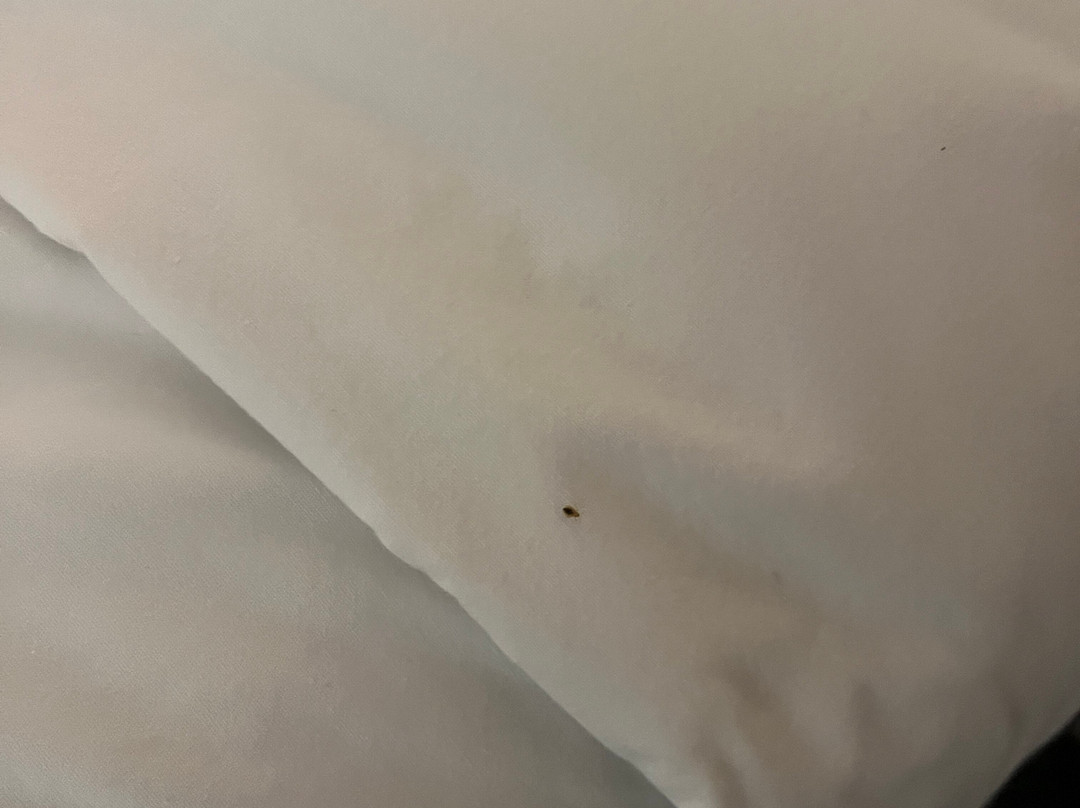 纳奈莫旅游宾馆主图