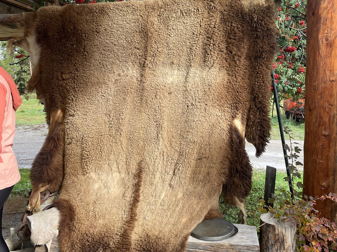 Rocky Mountain Buffalo Ranch & Guest Cabins景点图片
