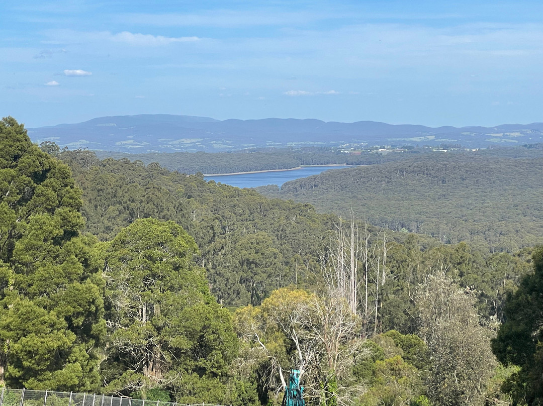 Kalorama Park Lookout-Kalorama必去景点