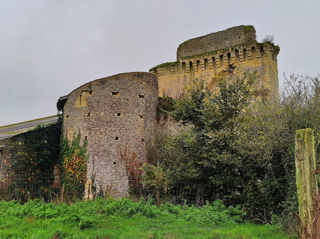 Château Du Bois Gourmond À Loudun景点图片