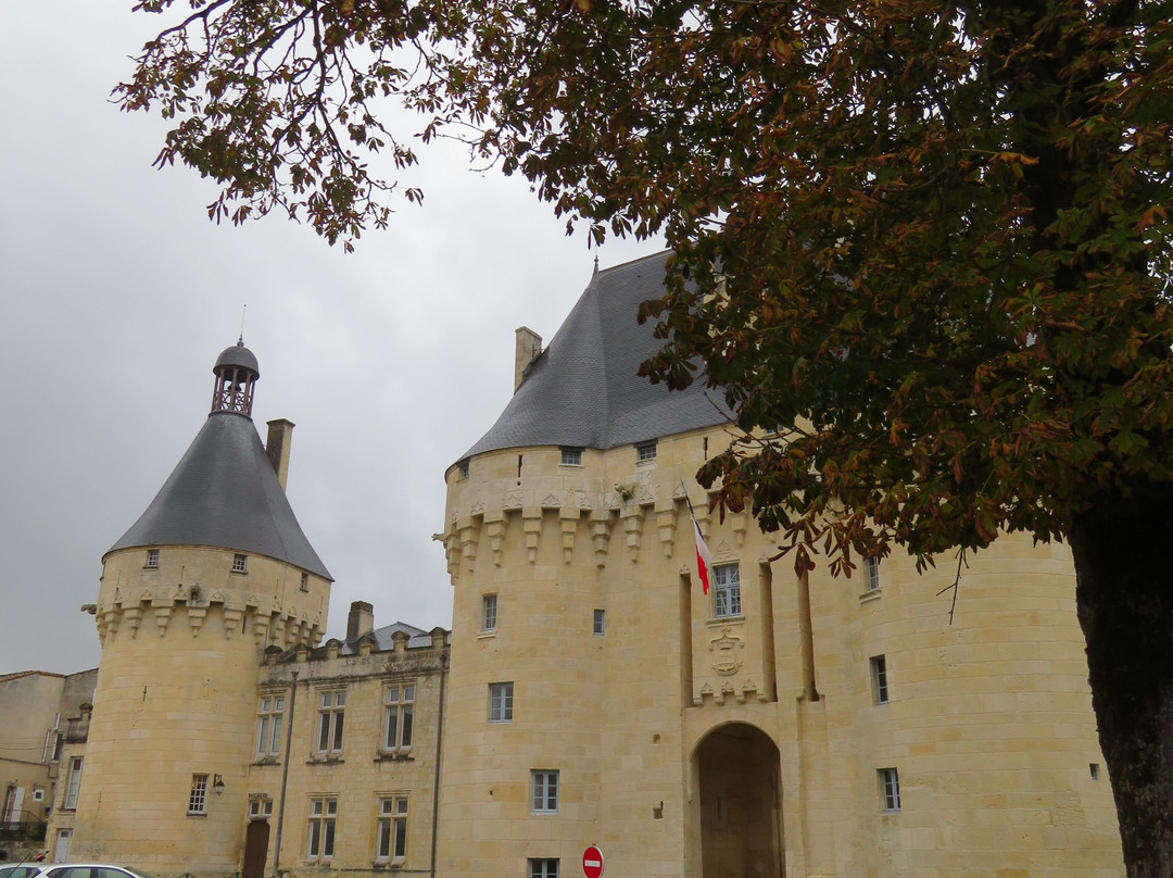 Chateau de Jonzac景点图片