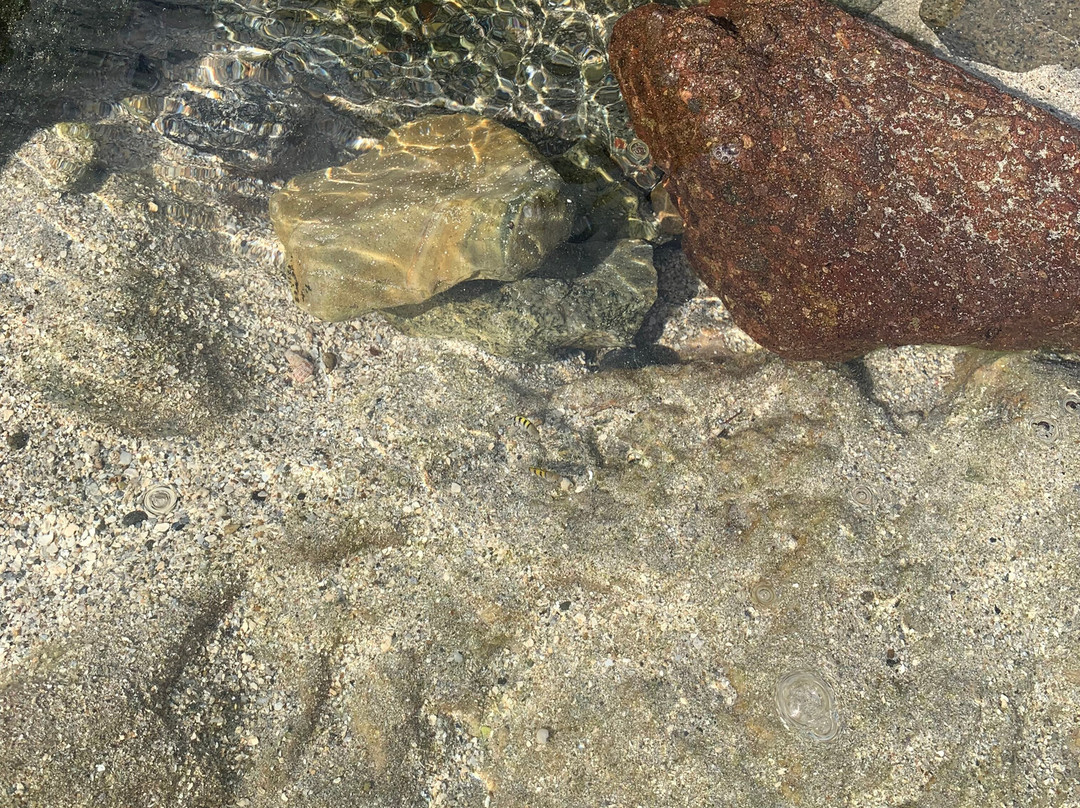 Divi Beach-Sint Maarten必去景点