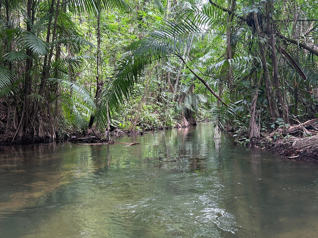 Parque Estadual do Utinga-贝伦必去景点