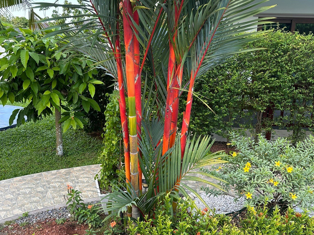 Mak Daeng Villa