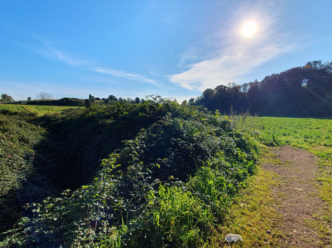 Ars In Urbe  Aps-罗马必去景点