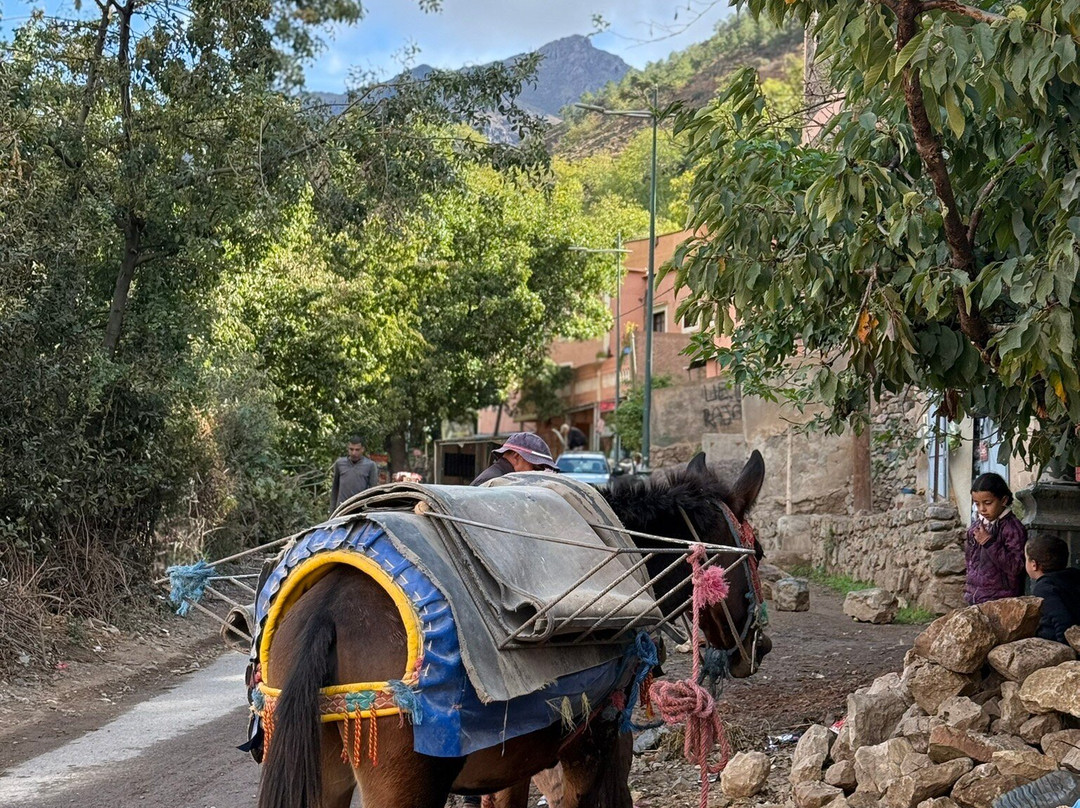 From Marrakesh, Excursion to Imlil-伊姆利勒必去景点