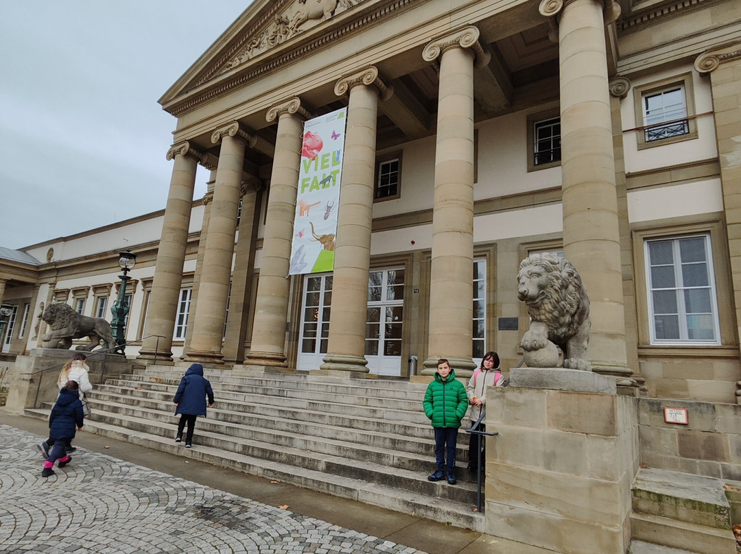 Naturkunde Museum Stuttgart-斯图加特必去景点