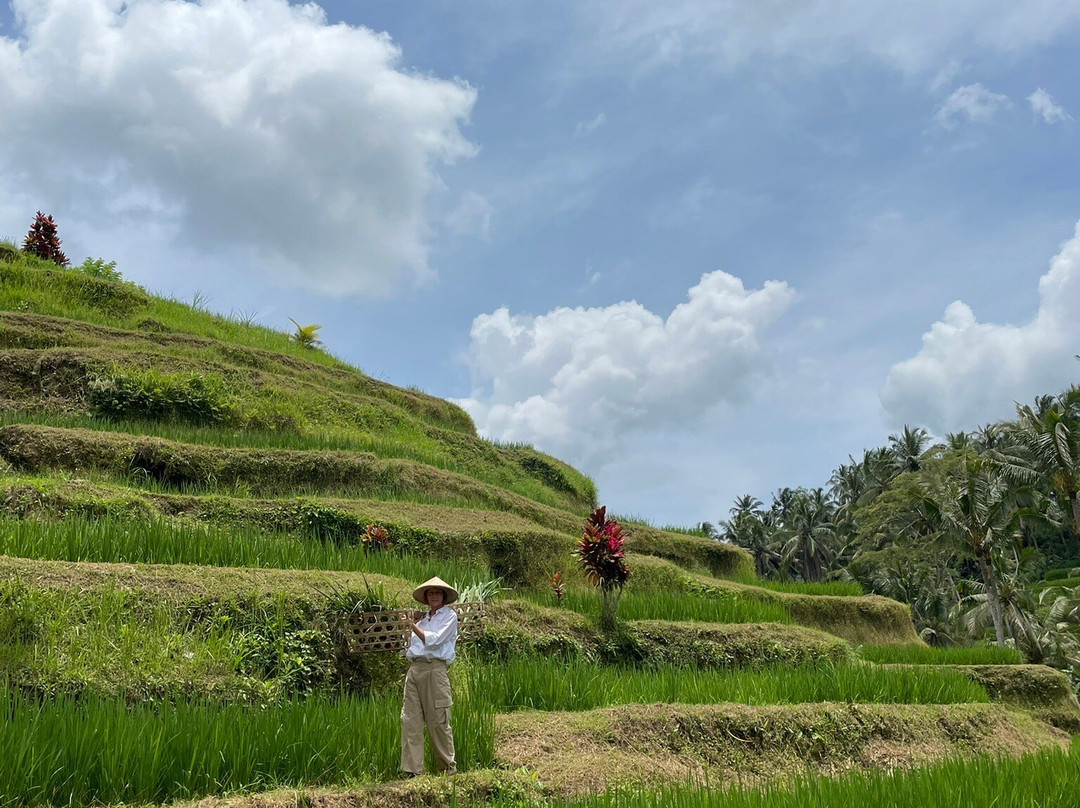 Bali Bagus Tour and Trekking-库塔必去景点