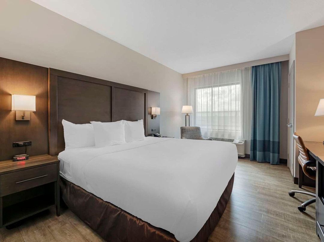 Comfort Inn & Suites Miami International Airport主图