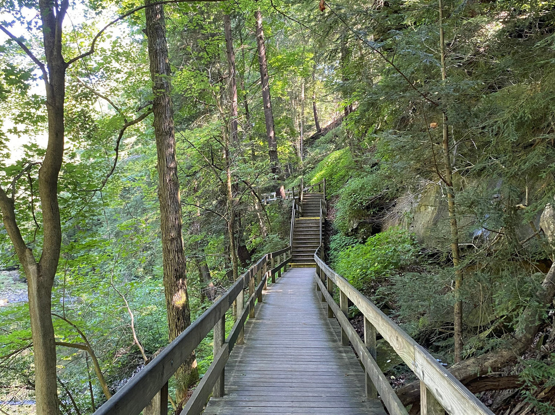 Lanterman's Mill-扬斯敦必去景点