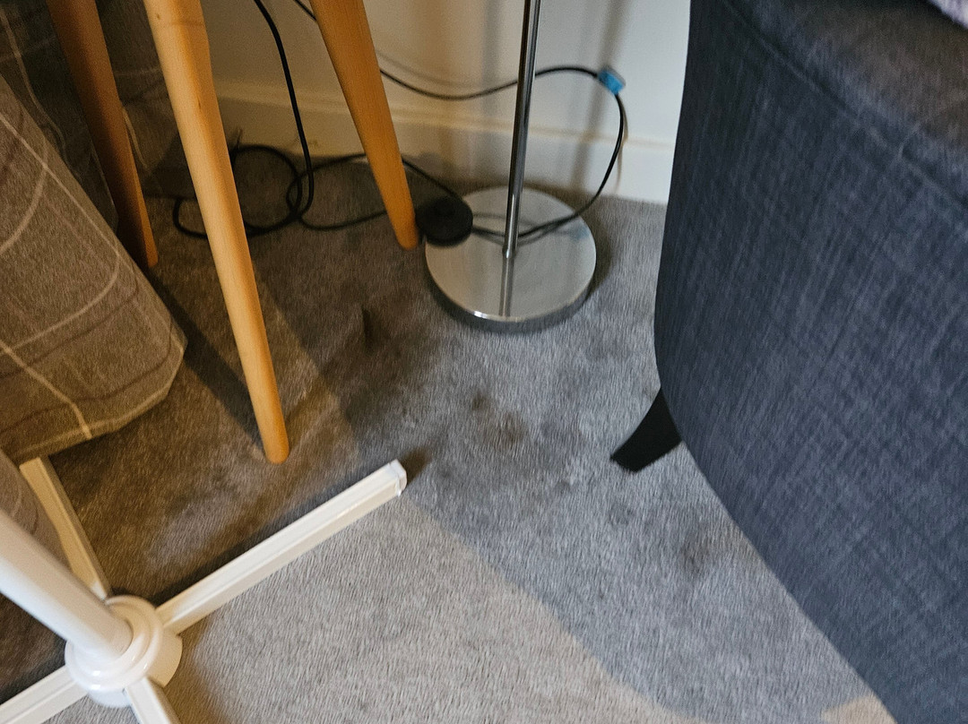 The Swan - A Colombo Edition Hotel主图