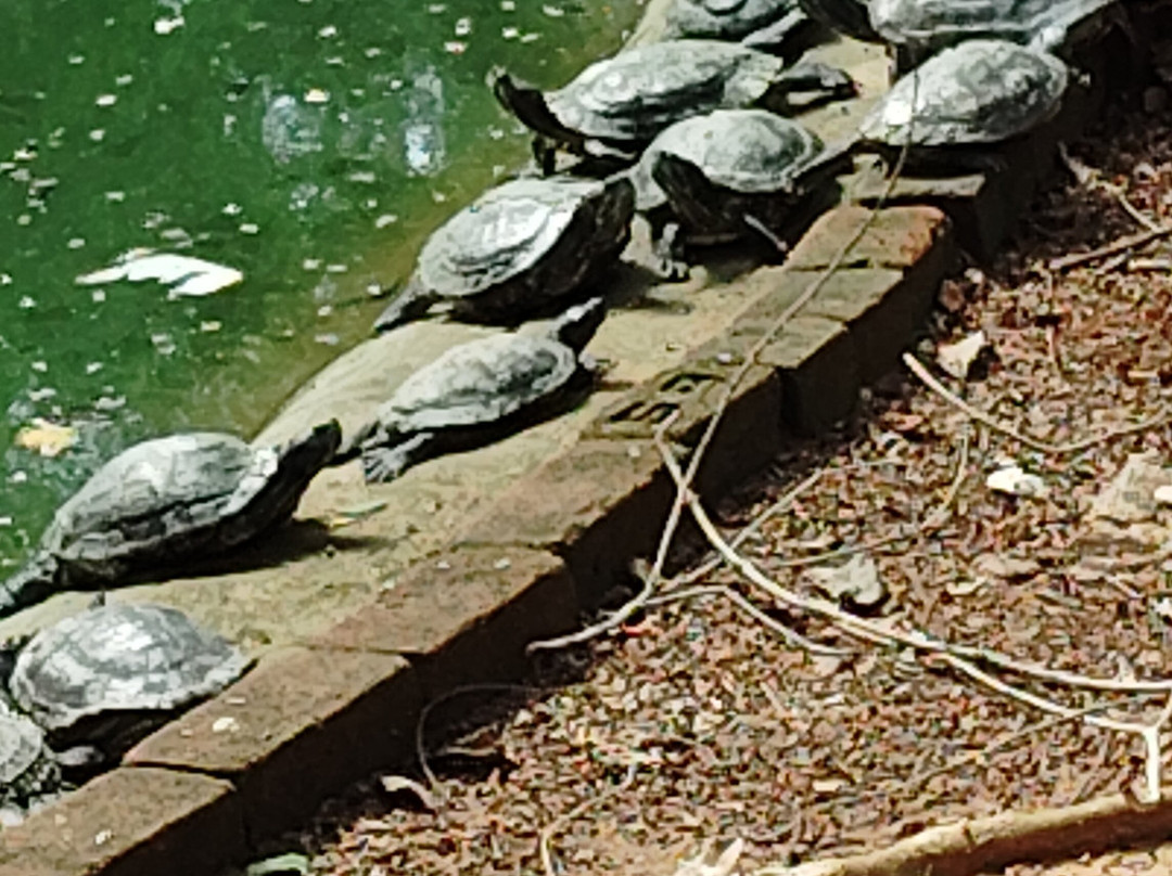 Sri Venkateswara National Park景点图片