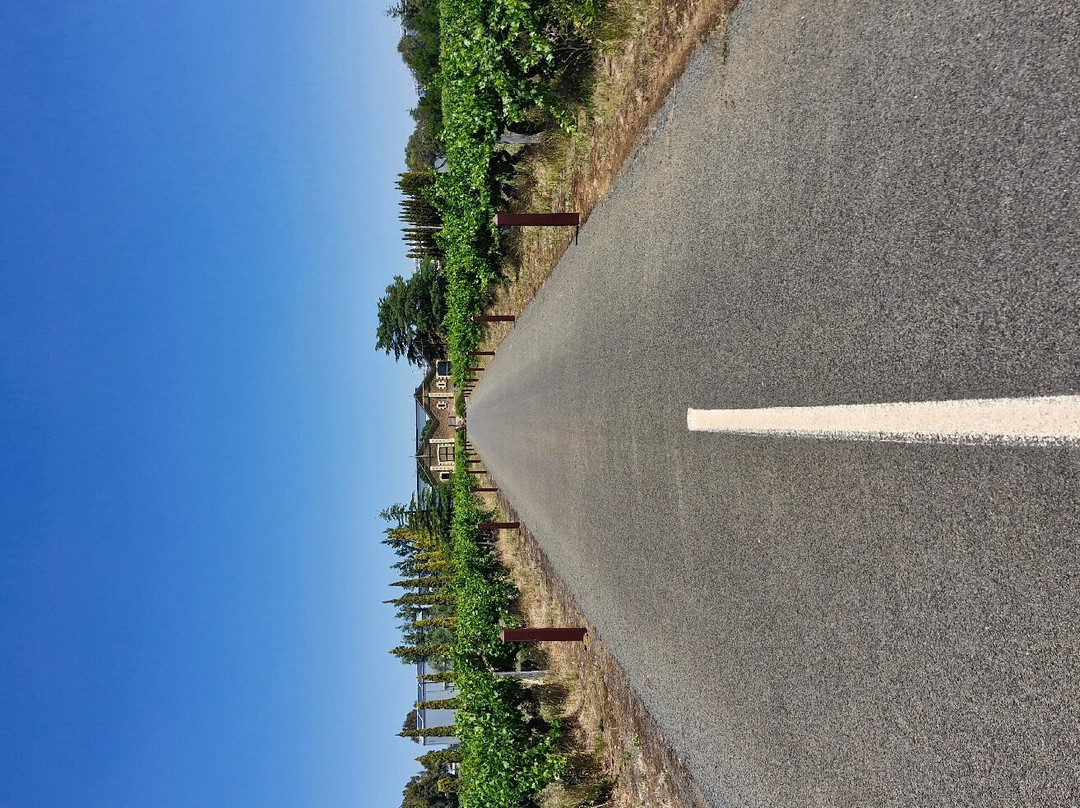 Coonawarra Wineries Walking Trail-Coonawarra必去景点