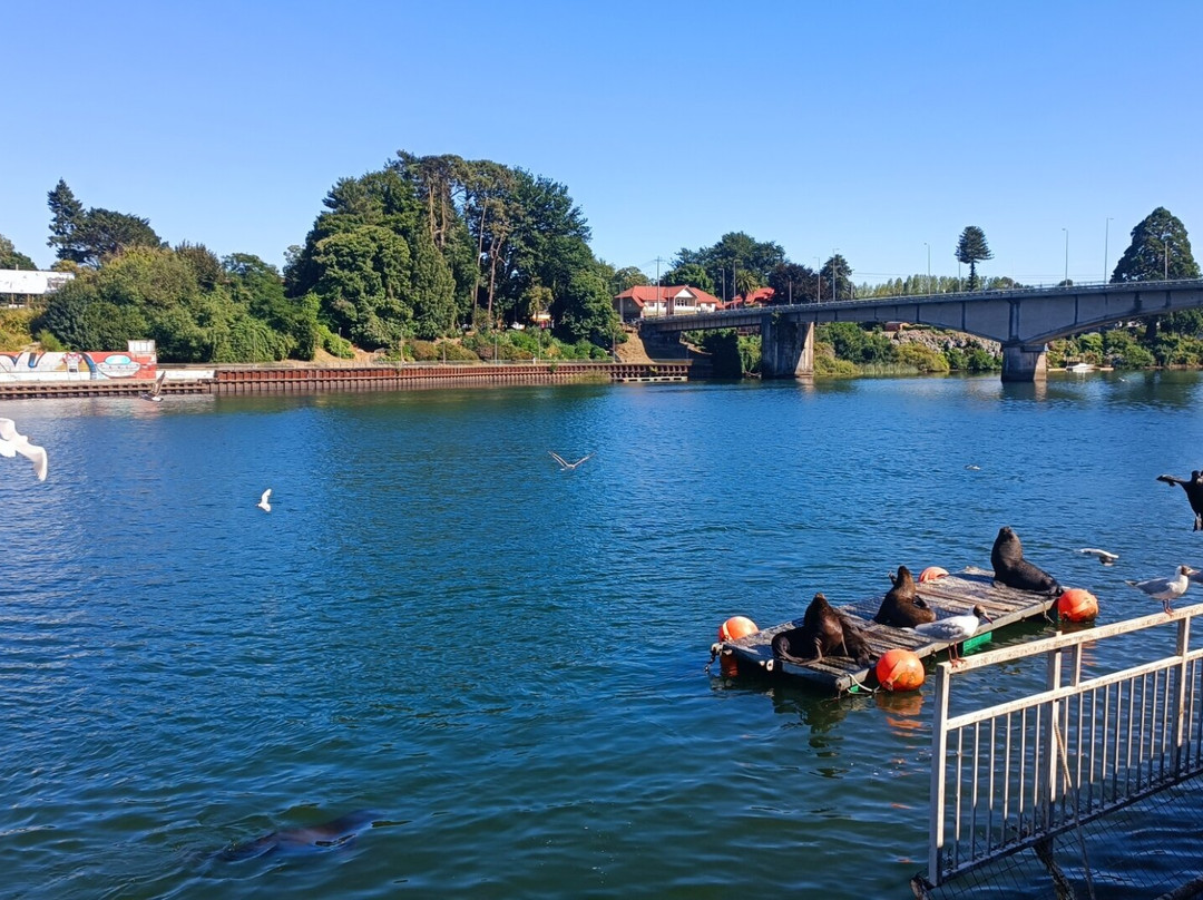 Rio Calle Calle-瓦尔迪维亚必去景点