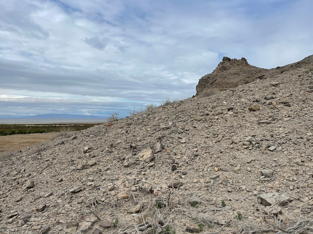 Sonny Bono National Wildlife Reserve-Calipatria必去景点