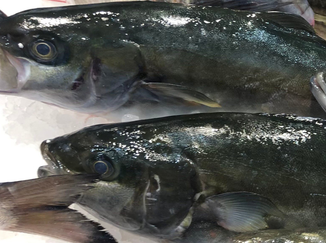 Pescheria Spaccio Del Pesce Conegliano