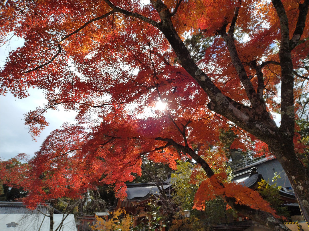 Nagaoka Tenmangu-长冈京市必去景点