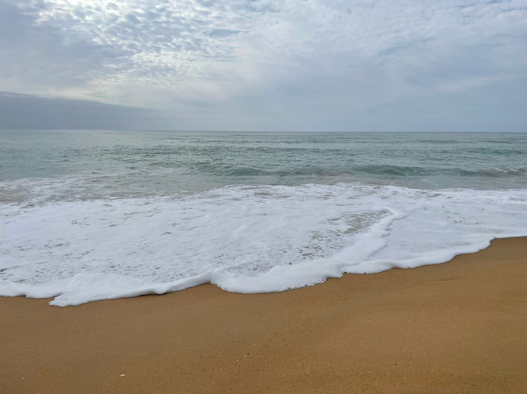Golden Beach-Golden Beach必去景点