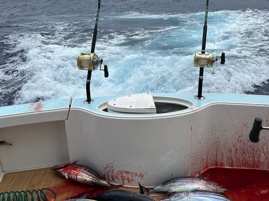 Reel Addiction III Sportfishing-Ko Olina必去景点