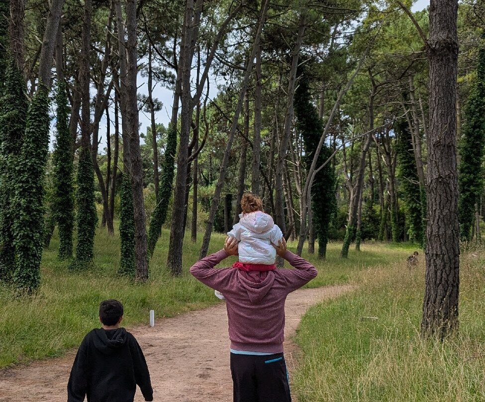 Bosque Energético景点图片