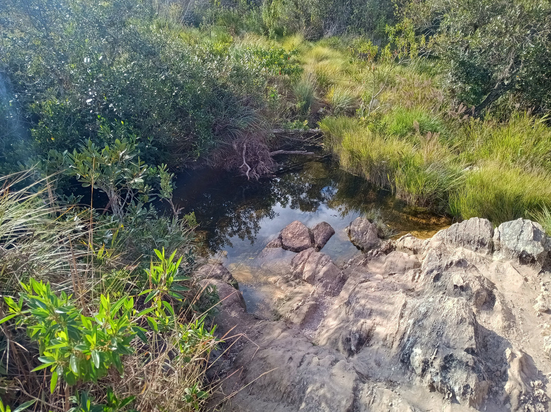 Parque Nacional da Serra da Canastra景点图片