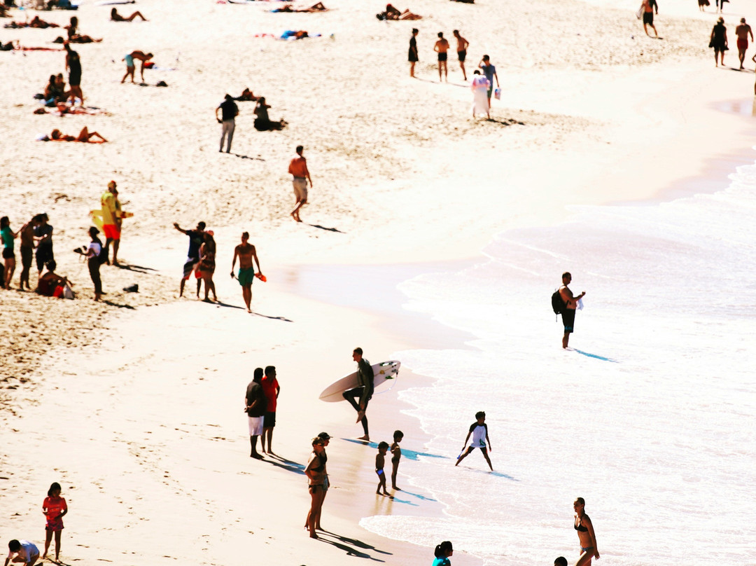 Beach Hire Bondi-悉尼必去景点