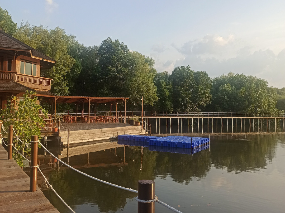 Mangrove Forest-雅加达必去景点