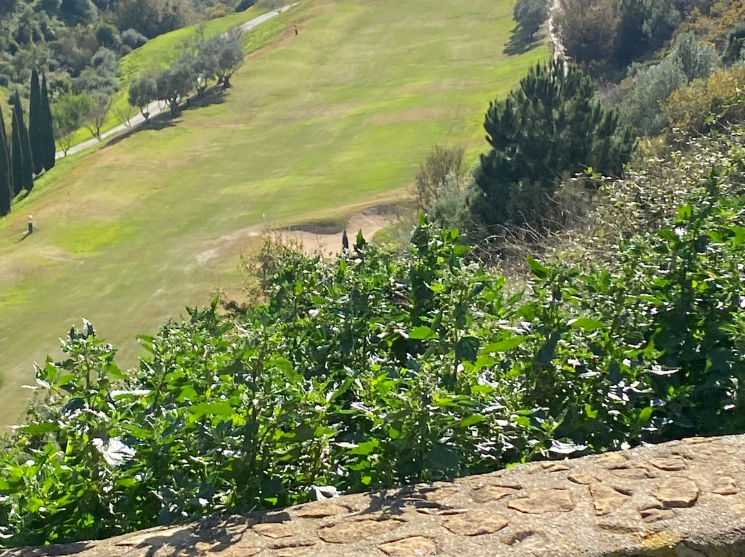 Alferini Golf景点图片