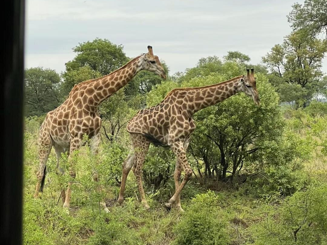Canuel Tours And Safaris-雾观必去景点