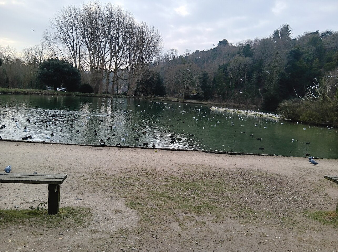 Swanbourne Lake景点图片