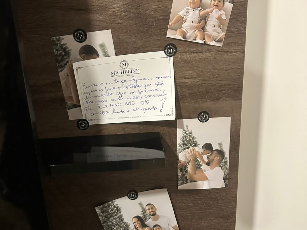 Micheline Hotel Tricot主图