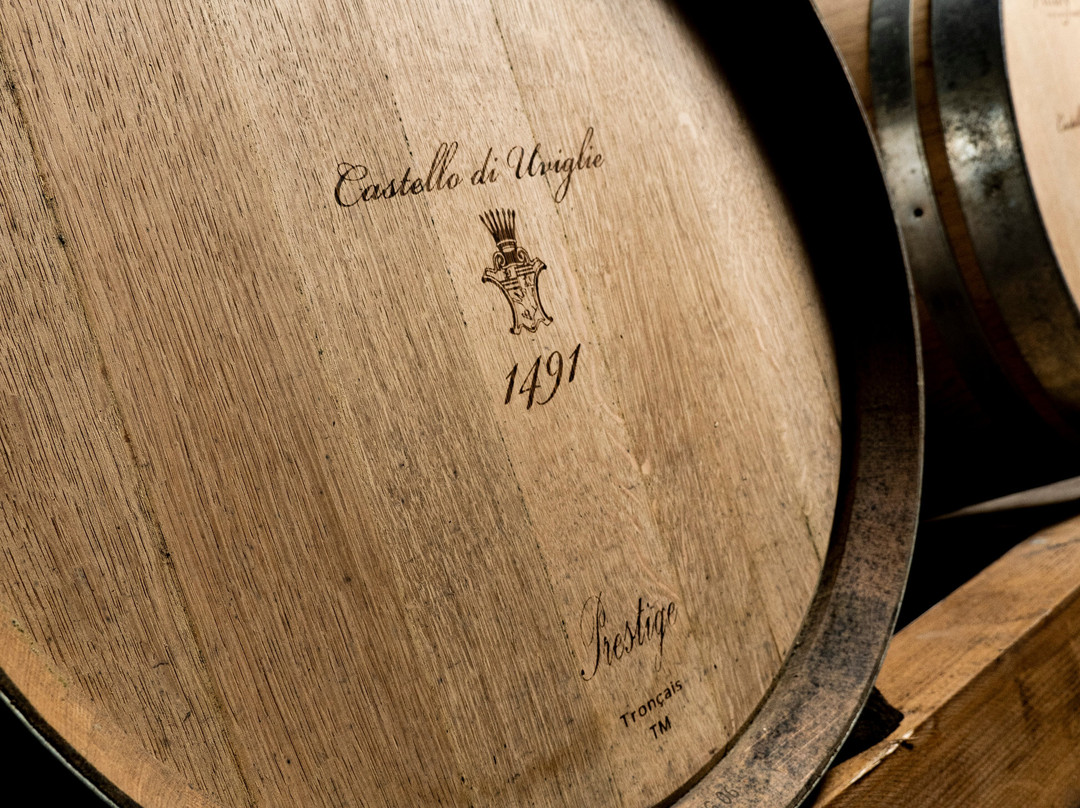 Cantina Castello Di Uviglie景点图片