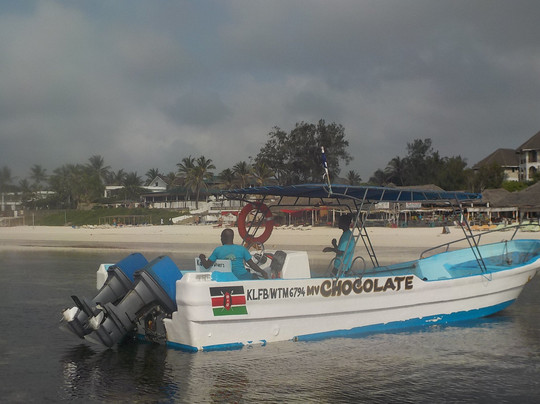 Kangaroo Divers-马林地必去景点