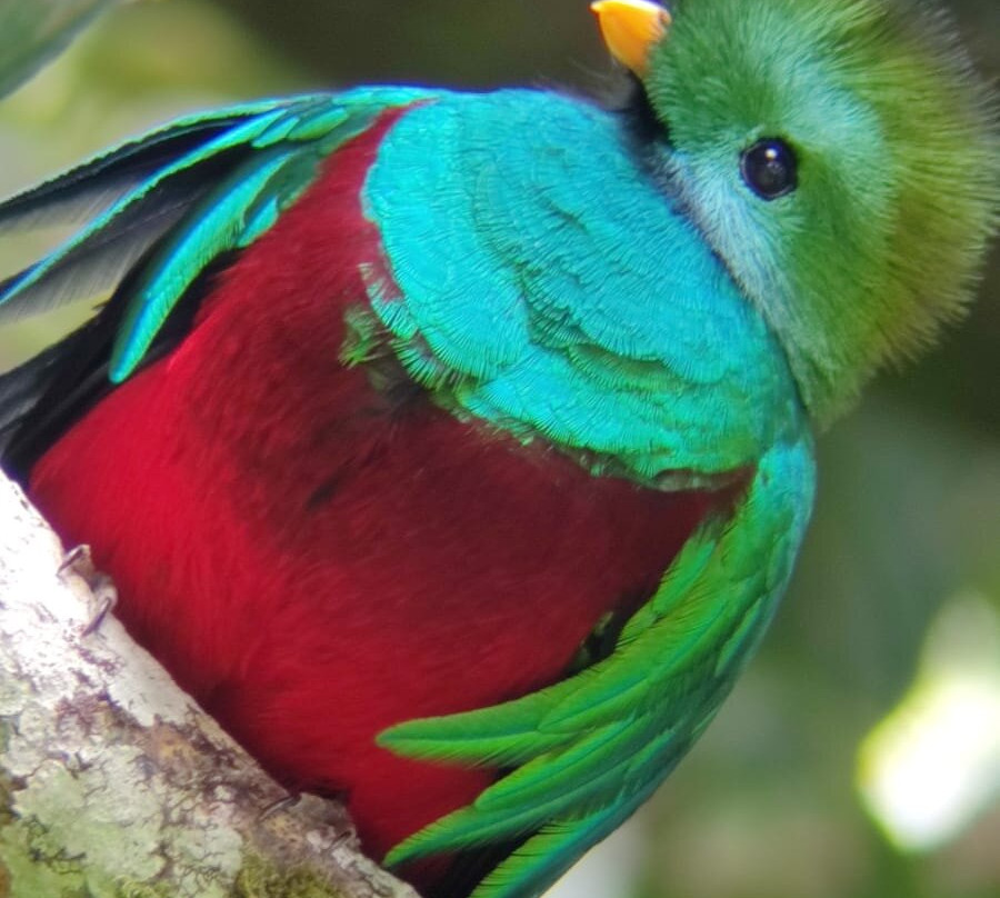 Johnny Loves Nature Eco Tours-蒙特沃德必去景点