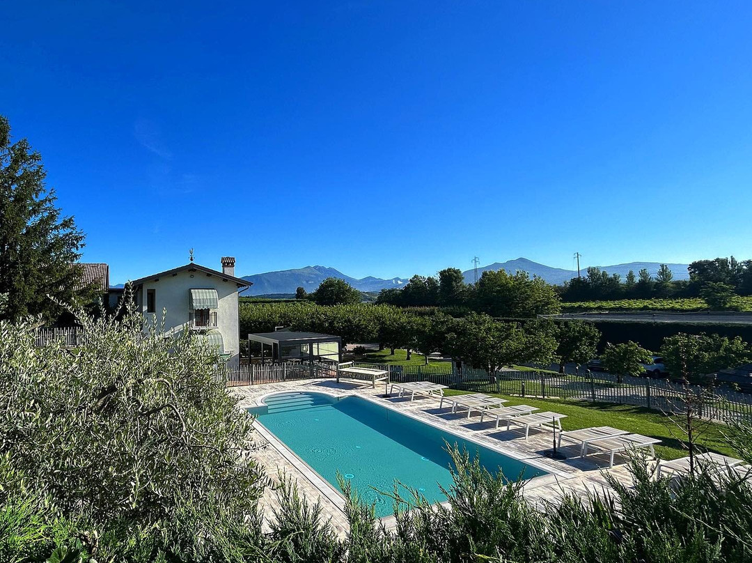 Agriturismo & Agricamping Serena主图