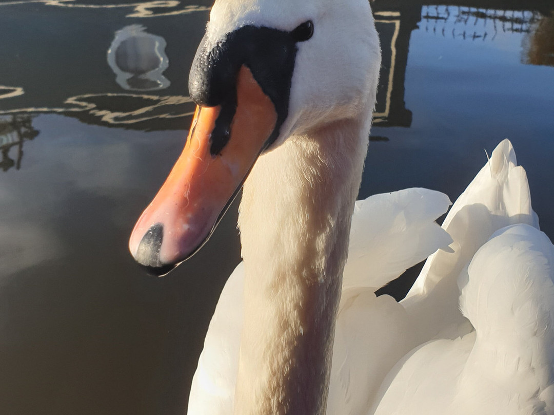 Pennine Cruisers of Skipton-斯基普顿必去景点