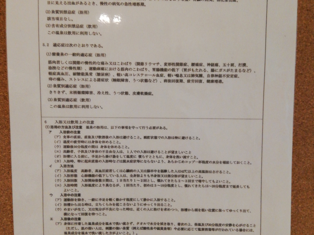 Yunosawa Onsen Mori no Shiki主图