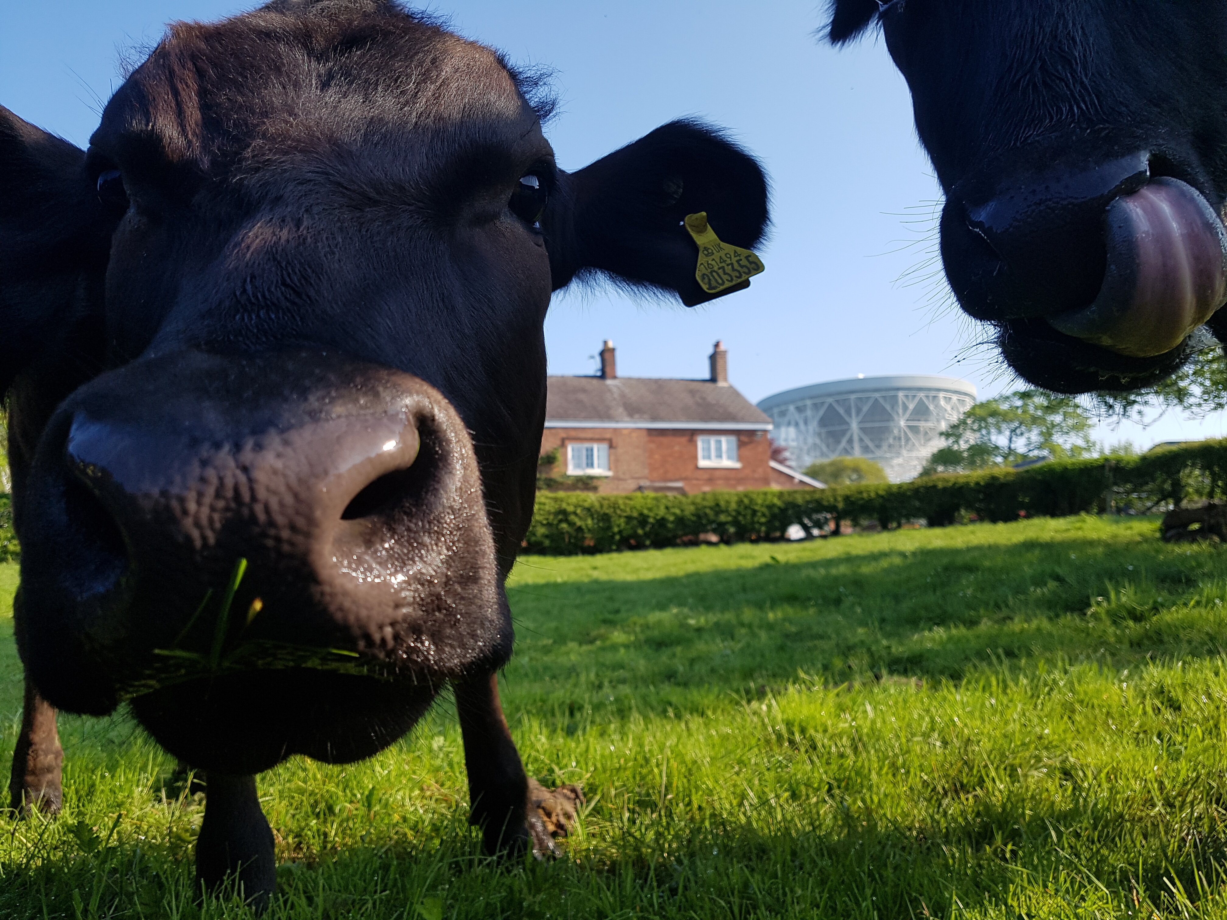 Bridge Farm B&b-浴室