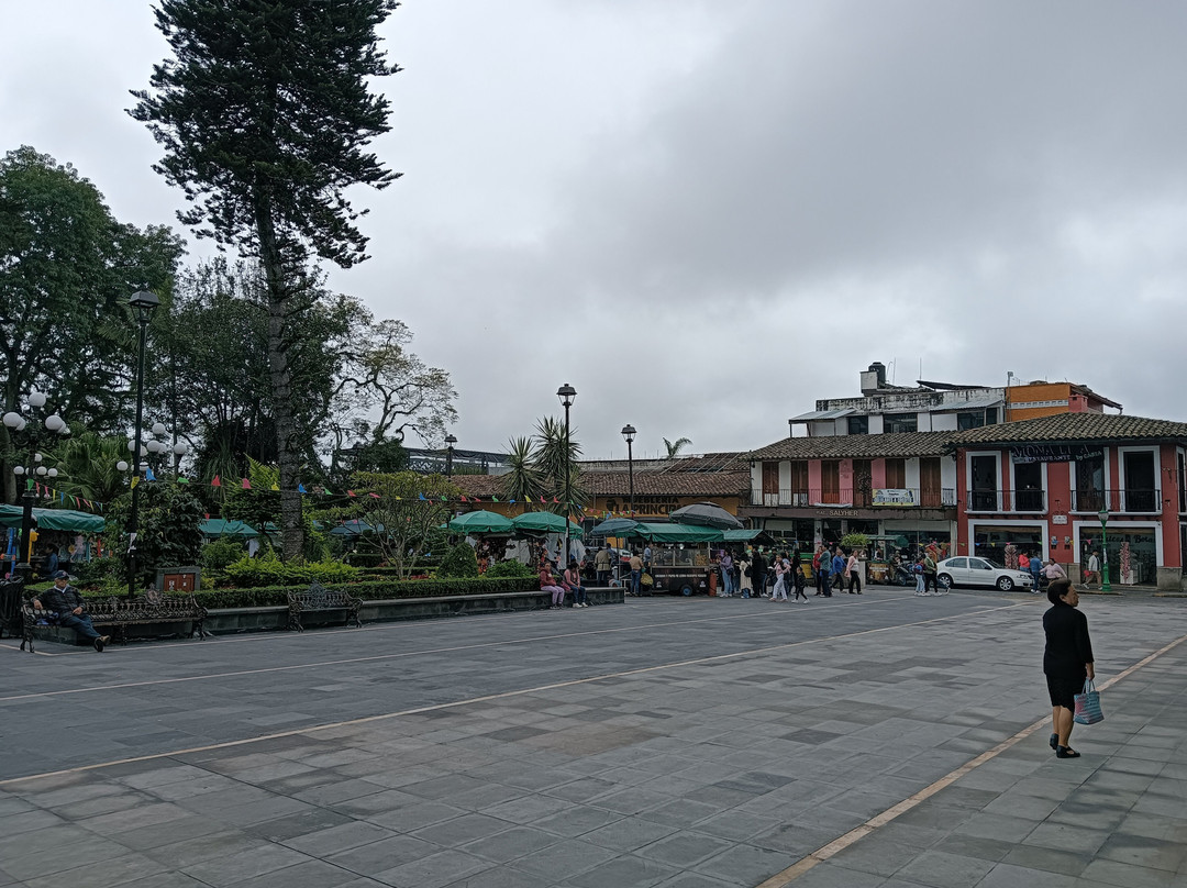 Fiesta Inn Xalapa主图