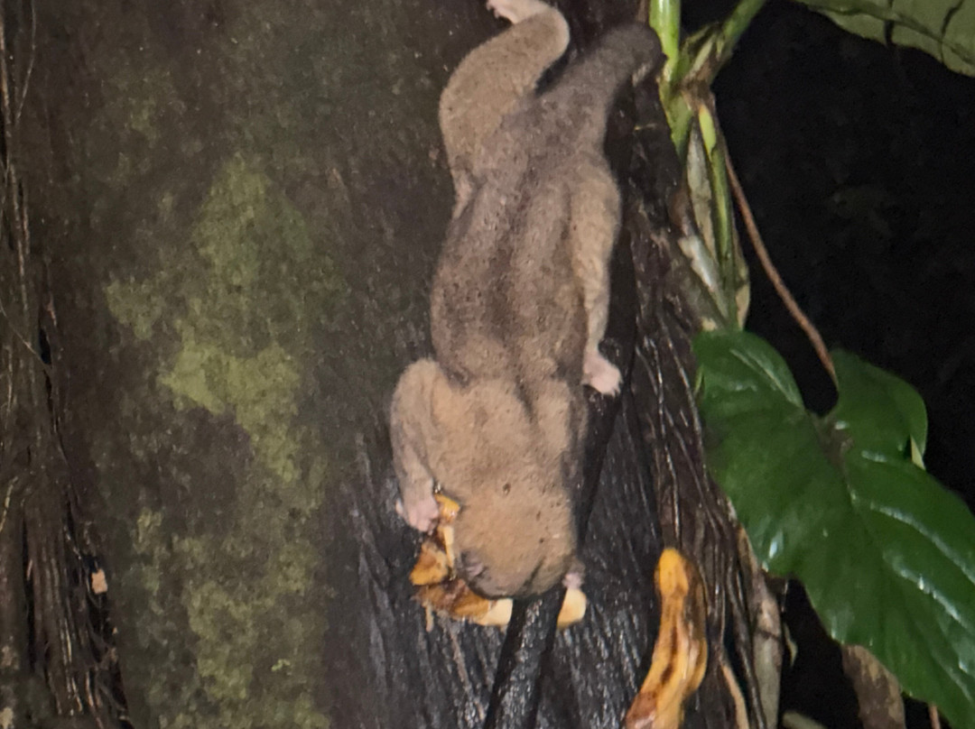 Ecuador Reptile Adventures景点图片