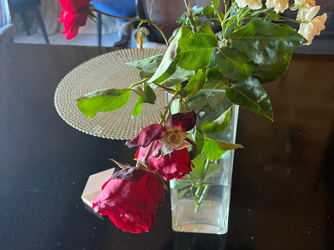 蒂卡波湖旅馆主图