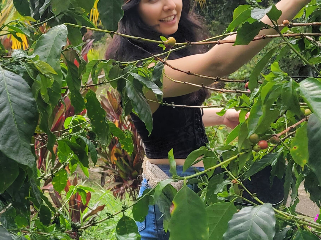 Casa de Monte-麦德林必去景点