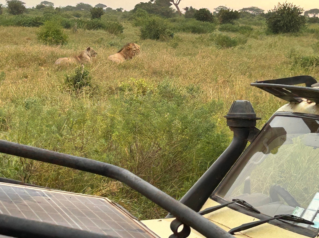 Safari Kenya Plus - Private Day Tour景点图片