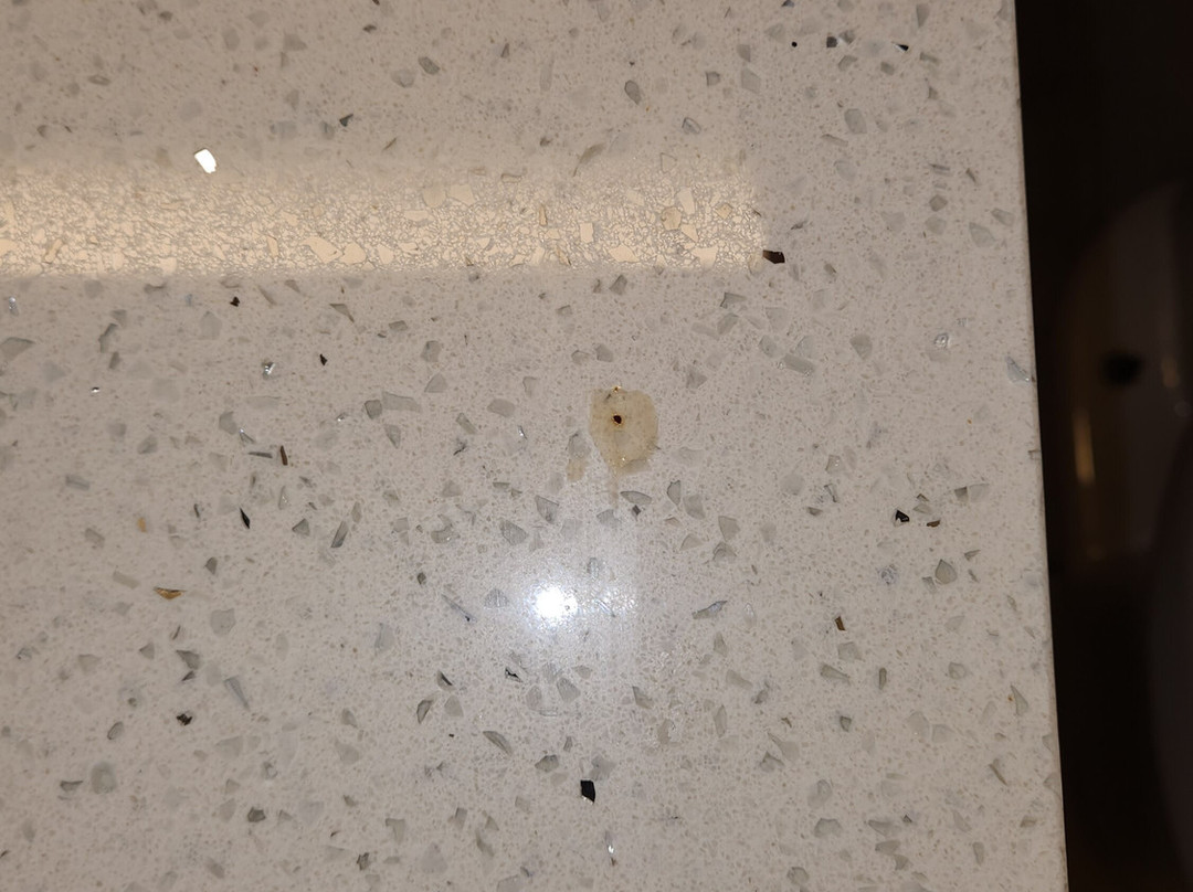 Super 8 by Wyndham Elkins主图